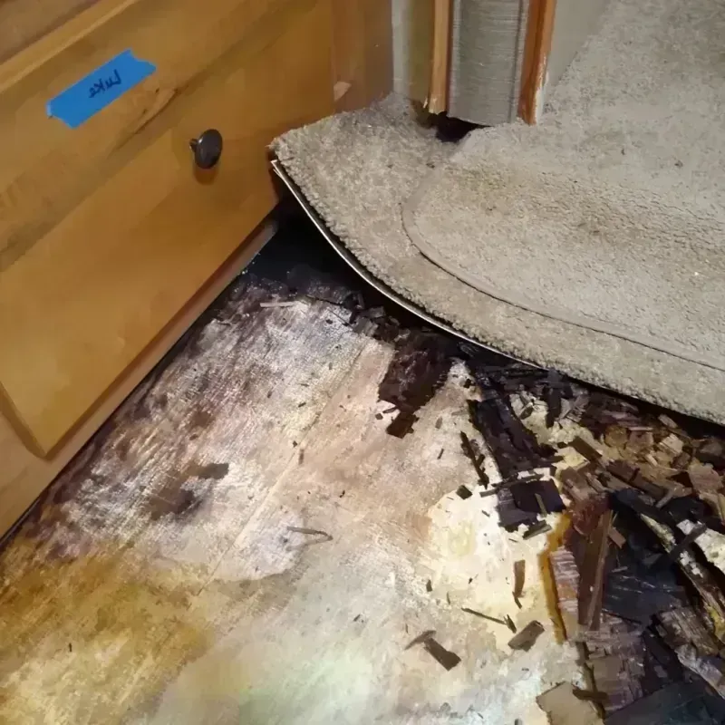 Best Wood Floor Water Damage Service in Gainesboro, TN